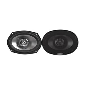 Alpine Coaxial 2-way Speaker 6"x9" (15x23cm) - SXE-6925S